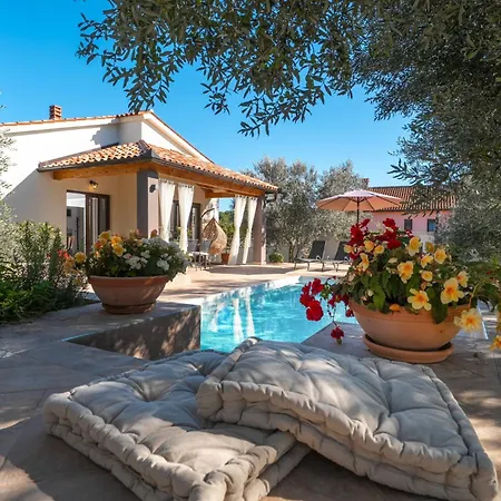 Canziana By Briskva *